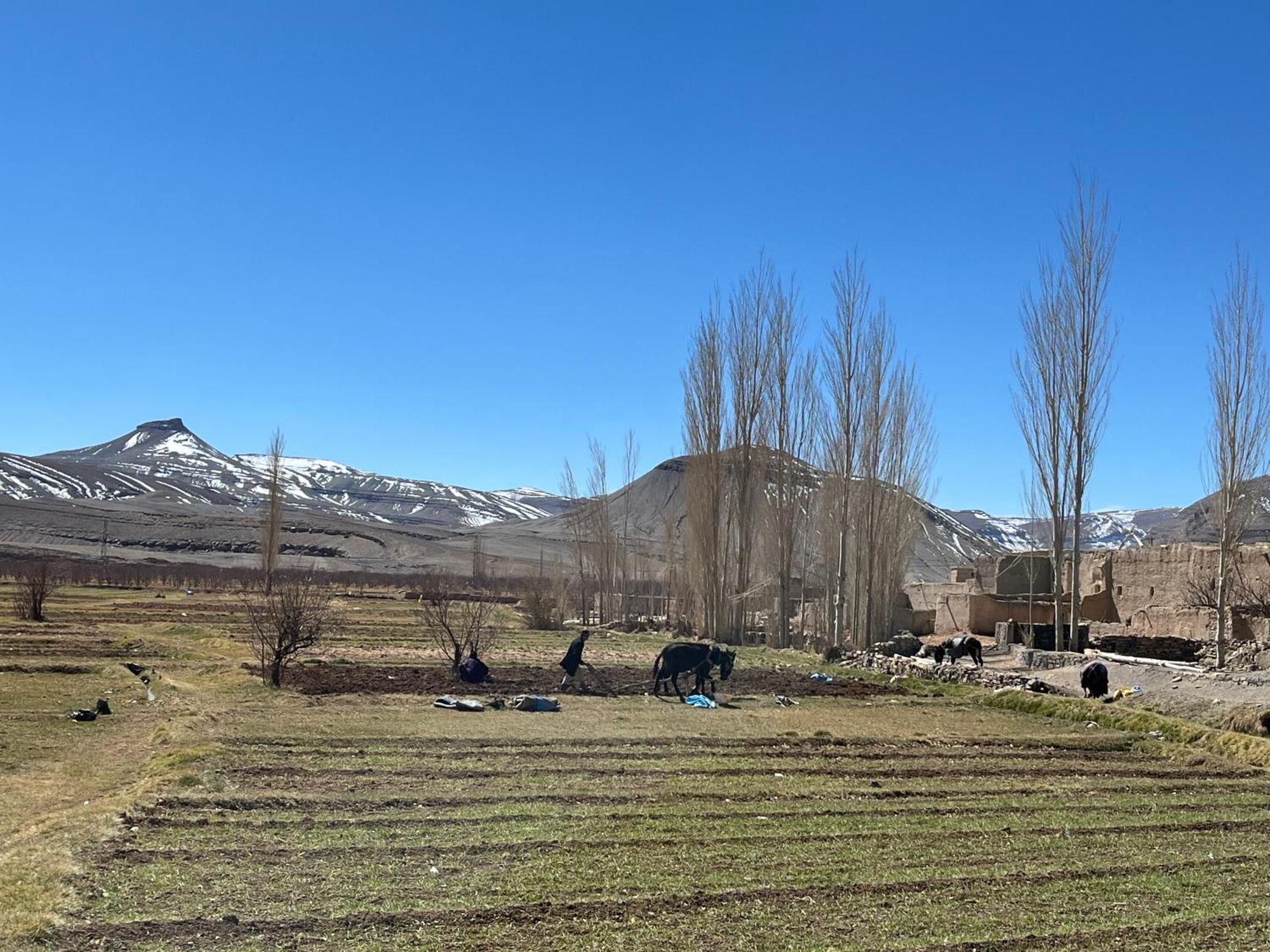 Auberge & Restaurant Agoudal المظهر الخارجي الصورة